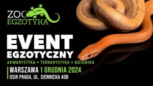 ZooEgzotyka Warszawa