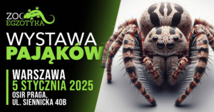 WYSTAWA PAJĄKÓW Warszawa