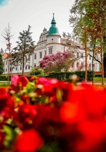 Bilety na wydarzenie - Park Zamkowy w Baranowie Sandomierskim, Baranów Sandomierski