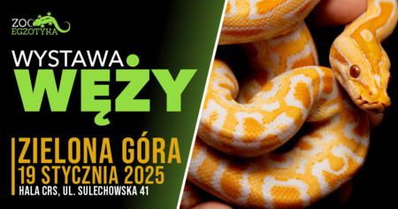 Bilety na wydarzenie - WYSTAWA WĘŻY Zielona Góra, Zielona Góra