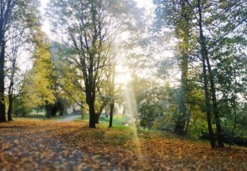 Miejsca wydarzeń - Park Miejski w Janowcu Wielkopolskim