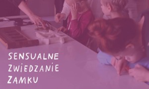  SENSUALNE ZWIEDZANIE ZAMKU