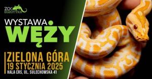 WYSTAWA WĘŻY Zielona Góra