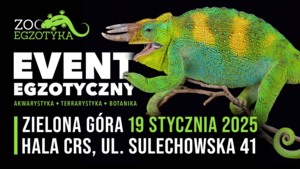 ZooEgzotyka Zielona Góra