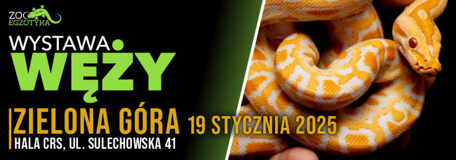 WYSTAWA WĘŻY Zielona Góra