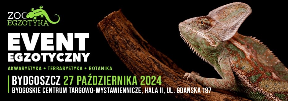 ZooEgzotyka Bydgoszcz