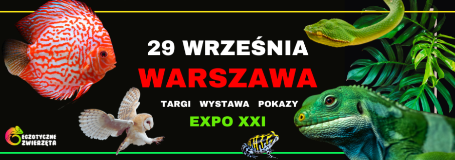 Egzotyczne Zwierzęta Warszawa