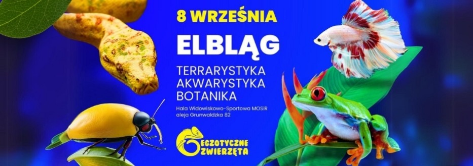 Egzotyczne Zwierzęta Elbląg