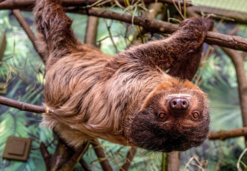 Miejsca wydarzeń - Miejski Ogród Zoologiczny w Łodzi