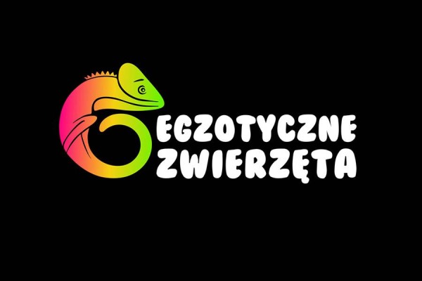 Egzotyczne Zwierzęta