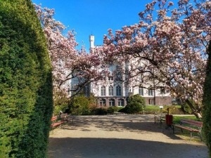 Arboretum Kórnickie