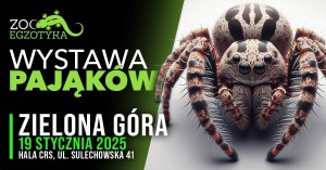 WYSTAWA PAJĄKÓW Zielona Góra