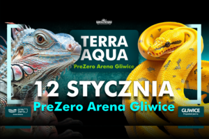 TERRA AQUA GLIWICE / TARGI AKWARYSTYKI / TARANTULA DAY