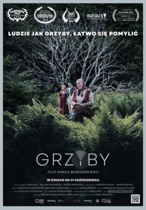  Grzyby