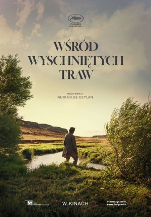 Wśród wyschniętych traw