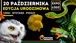 Egzotyczne Zwierzęta ŁÓDŹ 20 PAŹDZIERNIKA - TERRARYSTYKA / AKWARYSTYKA / BOTANIKA