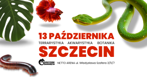 Egzotyczne Zwierzęta SZCZECIN 13 PAŹDZIERNIKA - TERRARYSTYKA / AKWARYSTYKA / BOTANIKA