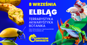 ELBLĄG - 8 WRZEŚNIA - TERRARYSTYKA AKWARYSTYKA BOTANIKA