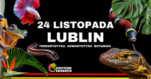 LUBLIN 24 LISTOPADA - EGZOTYCZNE ZWIERZĘTA - TERRARYSTYKA AKWARYSTYKA BOTANIKA