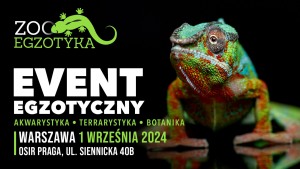 ZooEgzotyka Warszawa