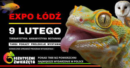 Bilety na wydarzenie - ŁÓDŹ 9 LUTEGO - EGZOTYCZNE ZWIERZĘTA - TERRARYSTYKA AKWARYSTYKA BOTANIKA I wiele więcej, Łódź