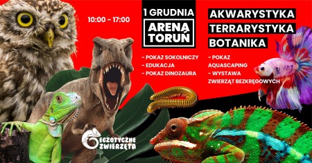 Bilety na wydarzenie - TORUŃ - 1 GRUDNIA - EGZOTYCZNE ZWIERZĘTA - TERRARYSTYKA AKWARYSTYKA BOTANIKA, Toruń