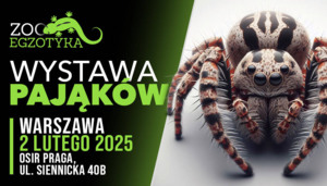 WYSTAWA PAJĄKÓW Warszawa