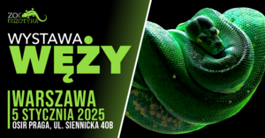 WYSTAWA WĘŻY Warszawa